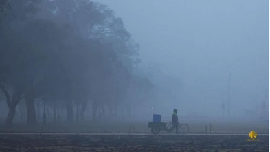 Cold Wave India